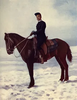 Strathconas Horse, 1900. Creator: Pittaway Strathconas Horse, 1900. Creator: Pittaway