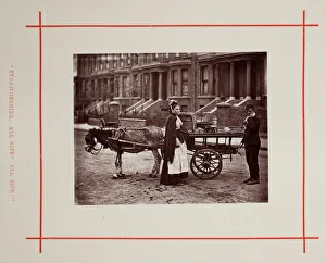 Smith Adolphe Collection: Strawberries. All ripe! All ripe!, 1877. Creator: John Thomson