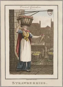 Craig Gallery: Strawberries, Cries of London, 1804
