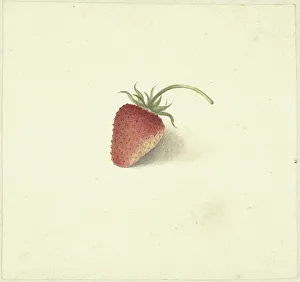 Ripe Prints: Strawberry, 1818-1853. Creator: Elisabeth Geertruida van de Kasteele