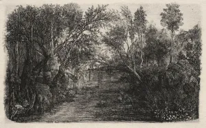 1822 1885 Prints: The Stream, 1880. Creator: Rodolphe Bresdin (French, 1822-1885)