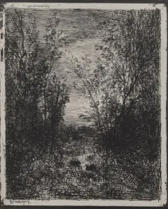 A Stream in a Glade, original impression 1862, printed in 1921 A Stream in a Glade, original impression 1862, printed in 1921