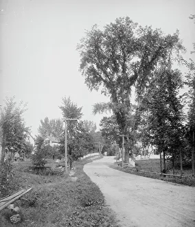 Street in Alton Bay, Lake Winnipesaukee, N.H. A, c1906. Creator: Unknown