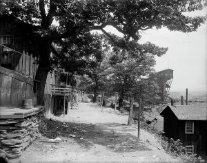 Pennsylvania United States Of Amercia Prints: Street in Avondale, Pa. between 1900 and 1906. Creator: Unknown