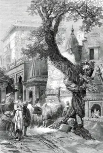 Temples Prints: Street in Benares, from a sketch by of our special artists, 1876. Creator: Unknown