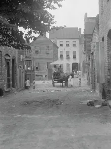 Multi Storey Prints: Street scene - looking north on Bedons Alley to Elliott Street; with horse and wagon