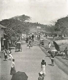 Sri Lankan Gallery: Street scene near the Town Hall, Colombo, Ceylon, 1895. Creator: W &s Ltd