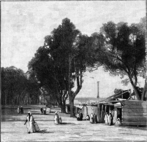 Street scene with Pompeys Pillar in the distance, Alexandria, Egypt, 1900