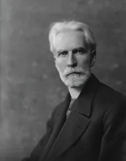 Stringfellow, N.N. Mr. portrait photograph, 1916. Creator: Arnold Genthe