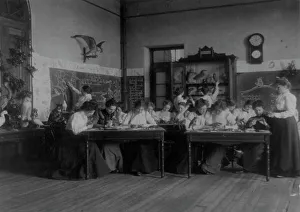 Students studying birds in biology class in a Washington, D.C. school, (1899?). Creator: Frances Benjamin Johnston