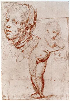 Studies, 1913. Artist: Albrecht Durer