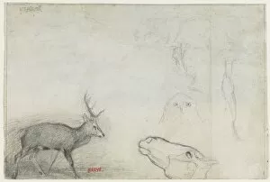 Antoine Louis Barye Collection: Studies of Animals (verso). Creator: Antoine-Louis Barye (French, 1796-1875)
