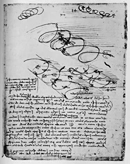 Sketchbook Collection: Studies of Birds in Flight When Rising and Circling, 1928. Artist: Leonardo da Vinci