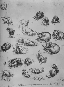 Reynal Hitchcock Collection: Studies of Cats and of a Dragon, c1480 (1945). Artist: Leonardo da Vinci
