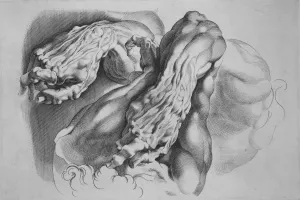Paulus Prints: Three Studies of Ecorches, after 1640. after 1640. Creator: Paulus Pontius