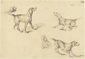 Pointer Prints: Five Studies of a French Pointer, 1825/1826. Creator: Richard Parkes Bonington