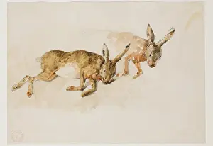 Hare Prints: Two Studies of a Hare, between 1840 and 1876. Creator: Eugene Fromentin