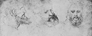 Studies of the Head of Cesare Borgia from Three Points of View, c1480 (1945). Artist: Leonardo da Vinci Studies of the Head of Cesare Borgia from Three Points of View, c1480 (1945). Artist: Leonardo da Vinci