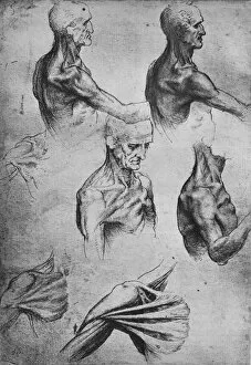 Drawings Of Leonardo Gallery: Studies of the Head and Shoulders of a Man, c1480 (1945). Artist: Leonardo da Vinci