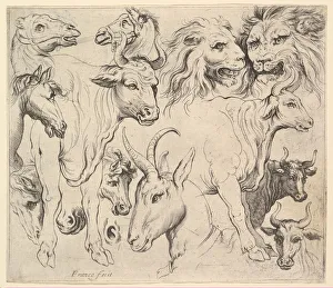 Veneziano Battista Franco Gallery: Studies of Heads. Creator: Unknown
