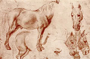 Great Masters Prints: Studies of Horses, 1913. Artist: Peter Paul Rubens