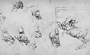 Sketchbook Prints: Studies of Horses Heads and of a Rearing Horse, c1480 (1945). Artist: Leonardo da Vinci