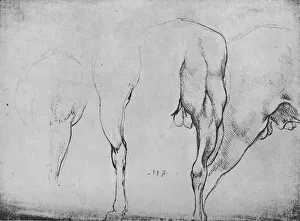 Studies of Horses Legs, c1480 (1945). Artist: Leonardo da Vinci
