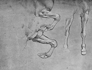 Four Studies of Horses Legs, c1480 (1945). Artist: Leonardo da Vinci