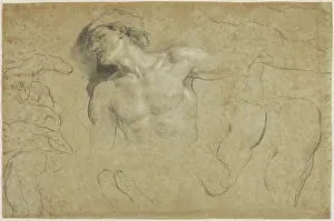 Bolognese School Prints: Studies of a Male Torso with Additional Studies of Hands