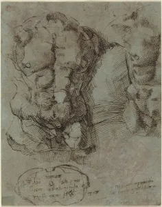 Abdomen Prints: Studies of a Male Torso, c. 1524. Creator: Unknown