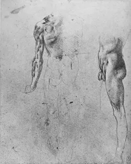 Studies of a Nude Man Seen from the Back and from the Side, c1480 (1945). Artist: Leonardo da Vinci