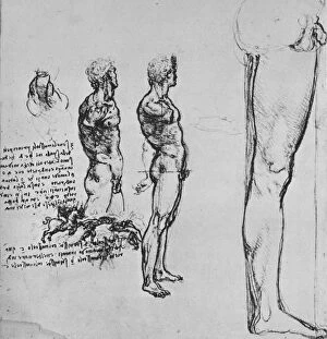Drawings Of Leonardo Gallery: Studies of Nudes and Smaller Sketch of a Battle, c1480 (1945). Artist: Leonardo da Vinci