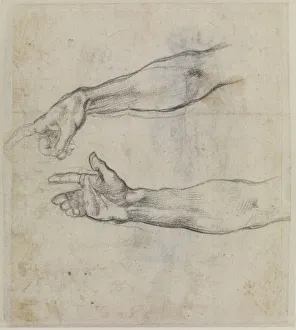 Michelangelo 1475 1564 Prints: Studies of an outstretched arm for the fresco The Drunkenness of Noah