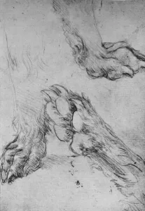 Reynal Hitchcock Collection: Three Studies of the Paws of a Dog or Wolf, c1480 (1945). Artist: Leonardo da Vinci