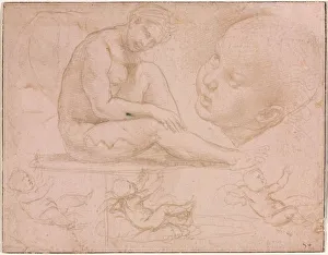 Metalpoint Prints: Studies of a Seated Female, Childs Head, and Three Studies of a Baby, c. 1507-8. Creator