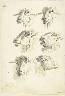 Heads Prints: Six studies of sheep heads, 1800. Creator: Franciscus Andreas Milatz