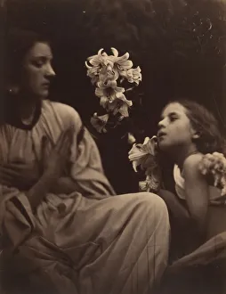 Cameron Collection: A Study, 1865-66. Creator: Julia Margaret Cameron