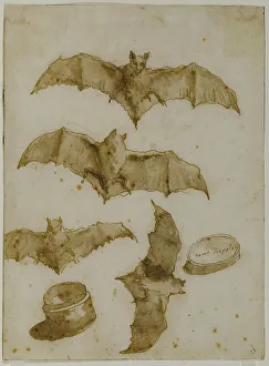 Tiepolo Prints: Study of bats and open box, 1790. Creator: Tiepolo, Giandomenico (1727-1804)