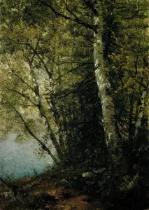 John F Prints: Study of Beeches, 1872. Creator: John Frederick Kensett