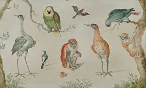 Study of Birds and Monkeys, 1660/1670. Creator: Anon