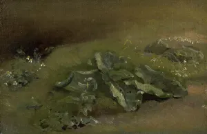 Study Of A Burdock, c1810-14 or c1828. Creator: John Constable