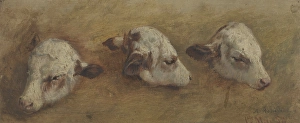 Calf Prints: Study of Calfheads, 1858. Creator: Anders Monsen Askevold