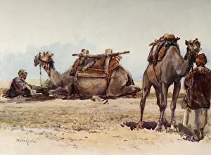 Fulleylove Prints: Study of Camels and Attendants, 1902. Creator: John Fulleylove