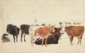 Study of Cattle, c1800-1830. Creator: David Cox the Elder