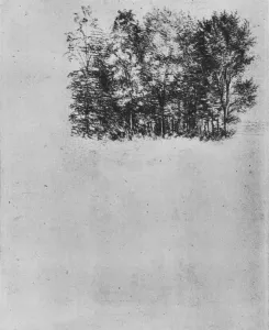 Reynal Hitchcock Prints: Study of a Coppice, c1480 (1945). Artist: Leonardo da Vinci
