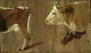 Johan Christian Clausen Dahl Prints: Study of two cows, c1810-1850. Creator: Johan Christian Dahl