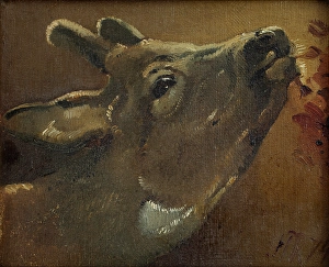 Nivaagaard Collection Prints: Study of a deer, 1874. Creator: Jorgen Pedersen Roed