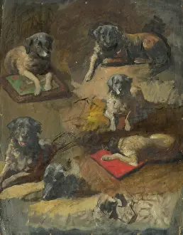 Study of a Dog, 1860-1900. Creator: Jan Nowopacky