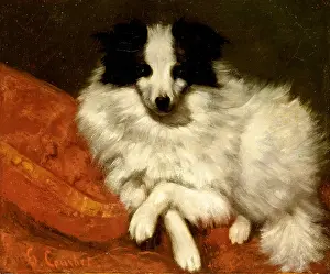 Courbet Prints: Study of a dog, 1861-1862. Creator: Courbet, Gustave (1819-1877)