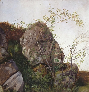Crevice Prints: Study of Dog Roses and Ferns, 1834. Creator: Adolph Tidemand